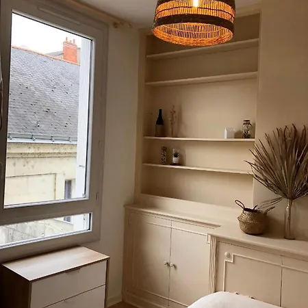 Le Tanin -Appartement Entier Avec Balcon Saumur Buitenkant foto