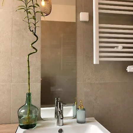 Le Tanin -Appartement Entier Avec Balcon Saumur Buitenkant foto